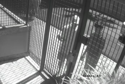 Homens invadem condomínio em MG e furtam R$ 1,6 mi em joias