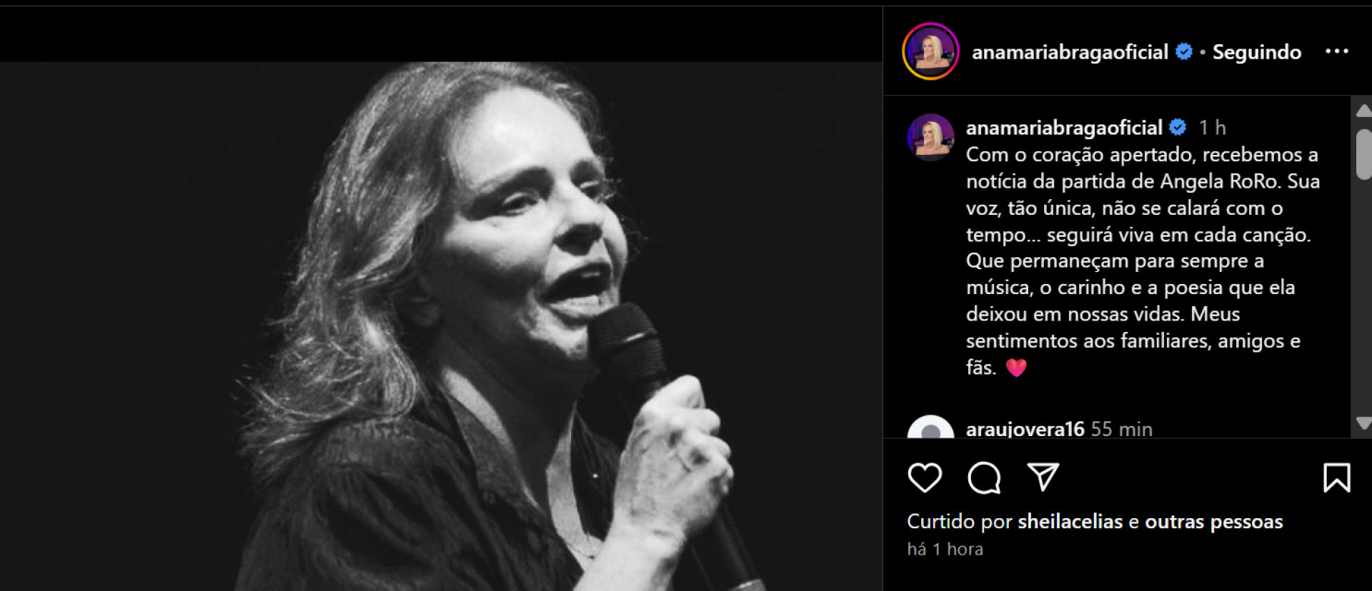 Ana Maria Braga lamenta morte de Angela Ro Ro - reprodução Instagram