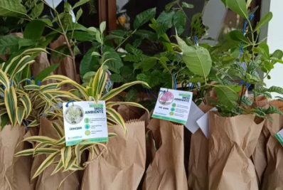 São Pedro da Aldeia promove distribuição gratuita de mudas no início da primavera