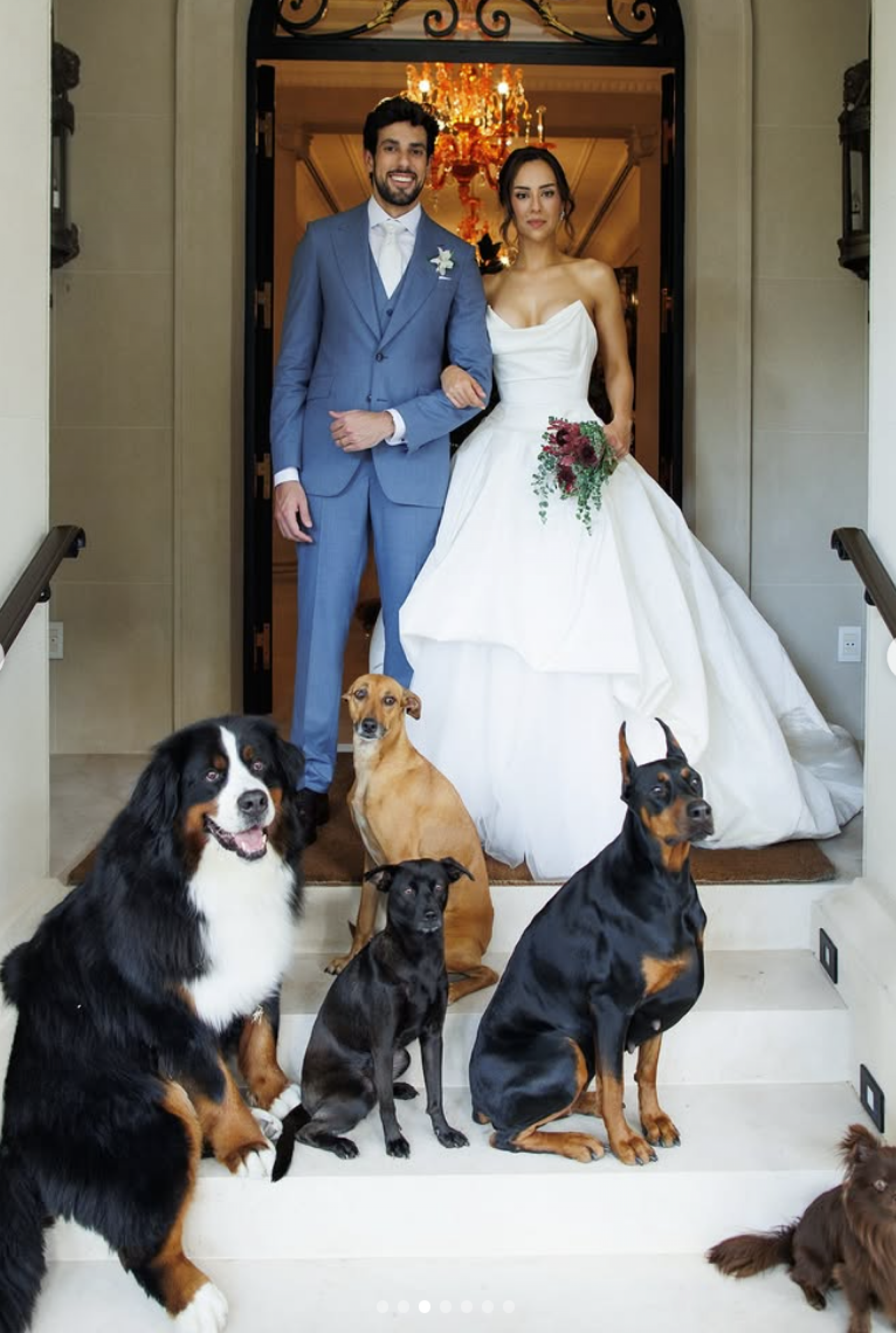 Lara, filha de Faustão, e Julinho Casares agradecem doações de ração em casamento - reprdução Instagram