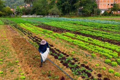 Projeto aproxima pequenos produtores do mercado da alta gastronomia