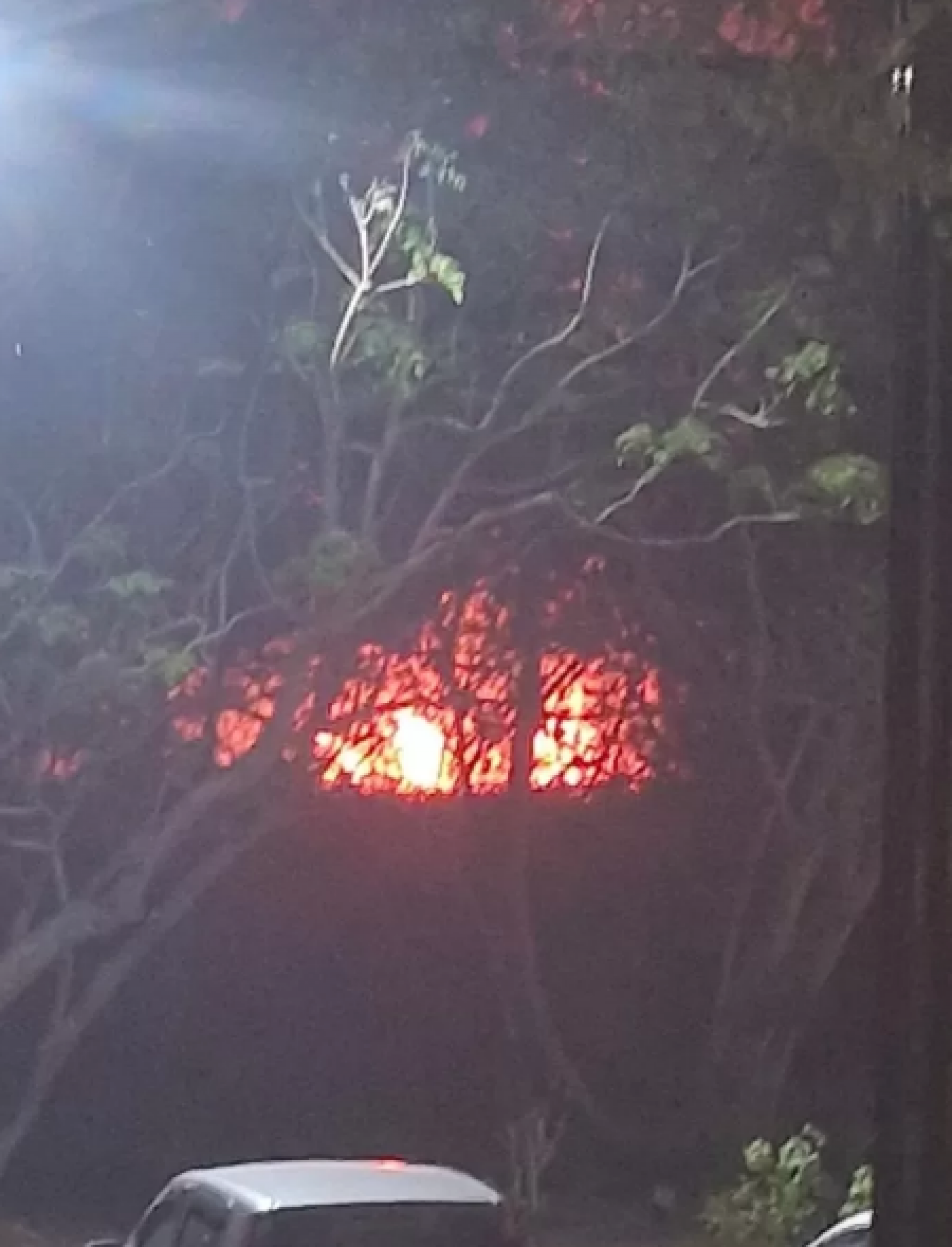 Incêndio de origem criminosa é rapidamente controlado no centro de Búzios