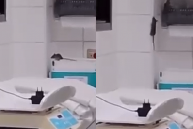 Vídeo! Rato é flagrado em sala de maternidade de hospital em SP