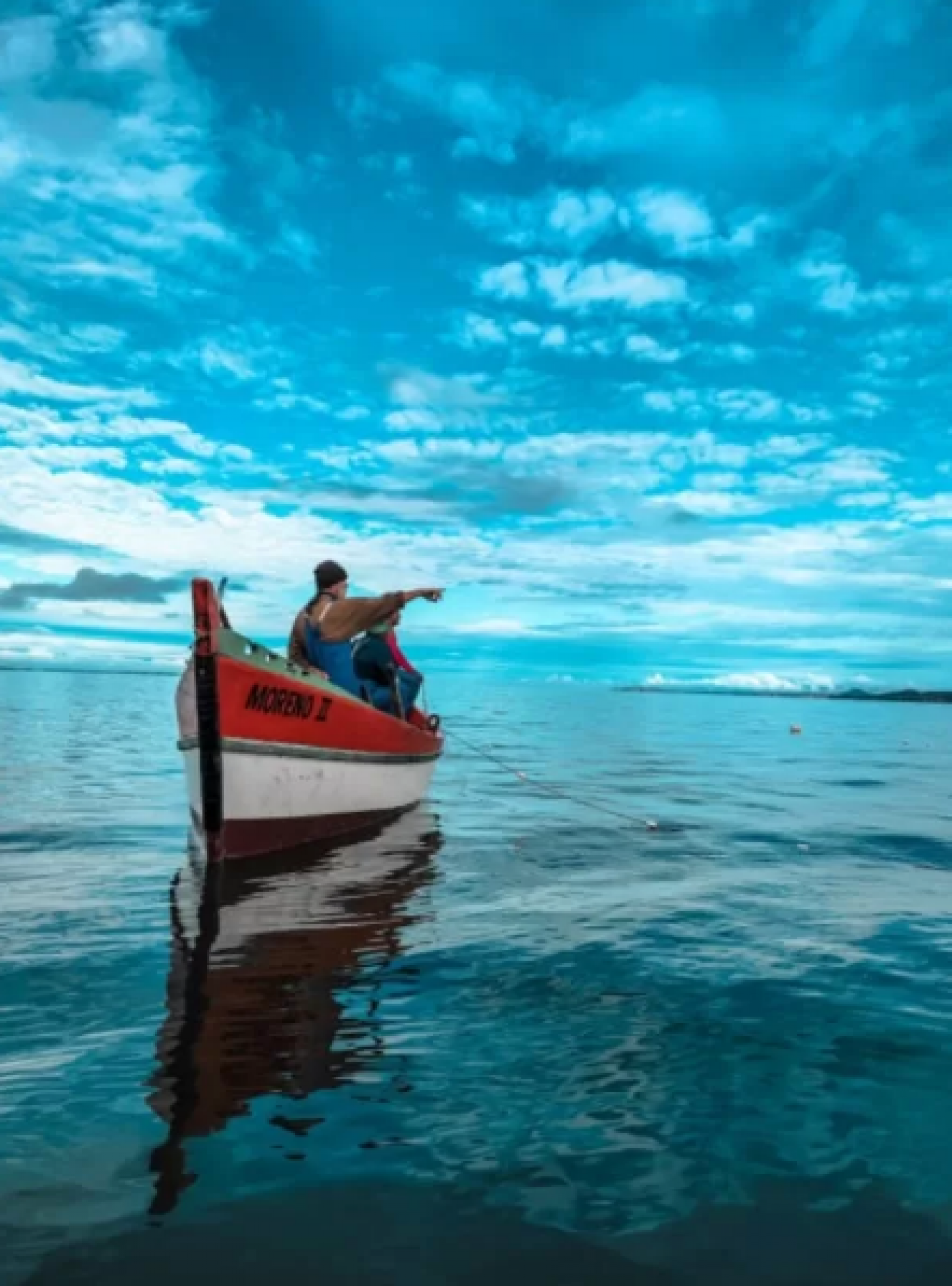Festival da Pesca ? Feira de Projetos do Mar - Reprodução 