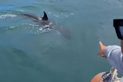 Família de orcas surpreende em Arraial do Cabo, mesmo durante o fim da temporada