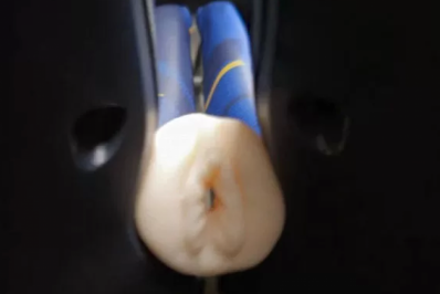 Objeto inusitado esquecido em ônibus entre Arraial do Cabo e Cabo Frio gera risadas entre passageiros