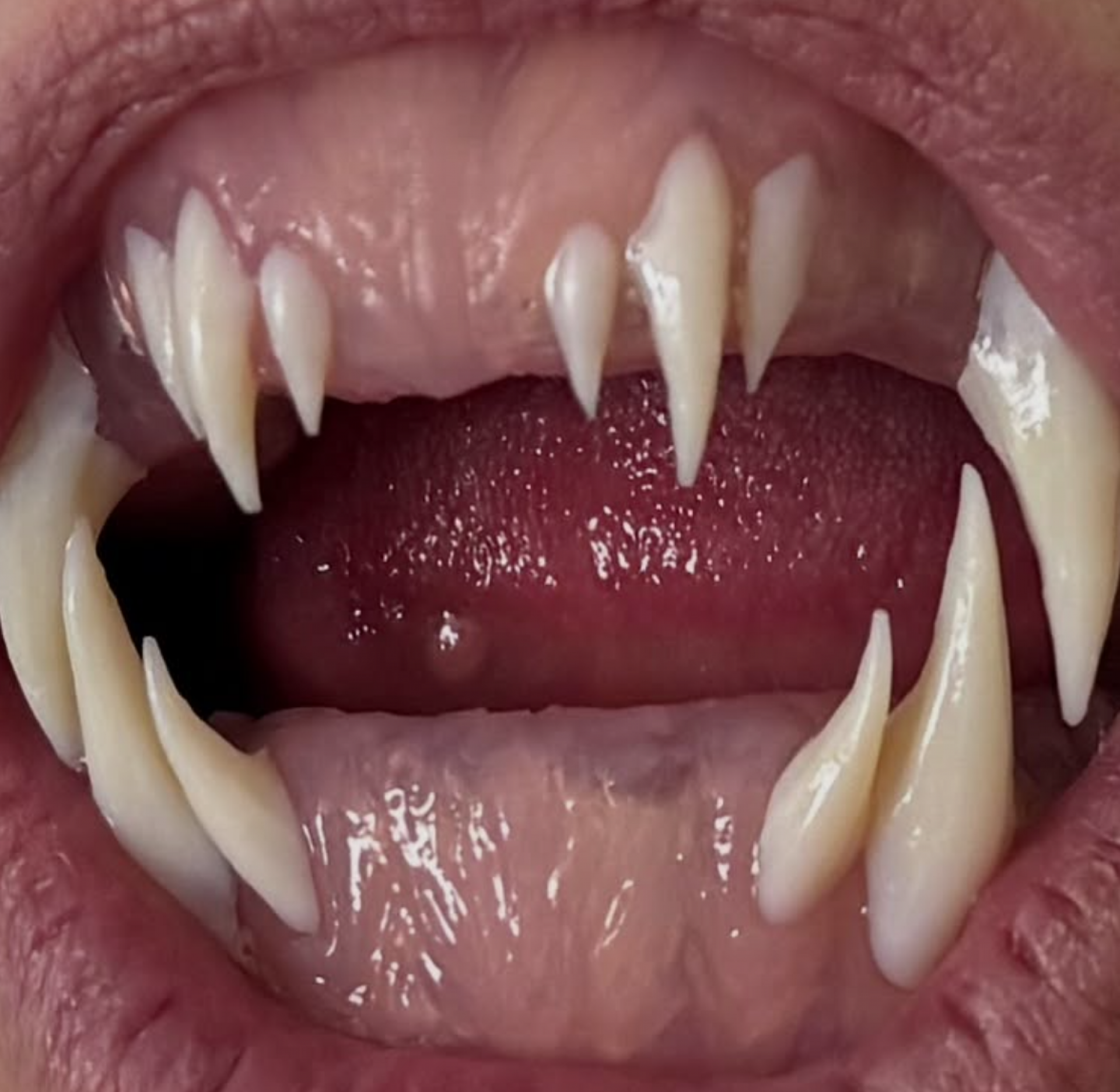 Heidi Klum revela detalhe misterioso da fantasia de Halloween - reprodução Instagram