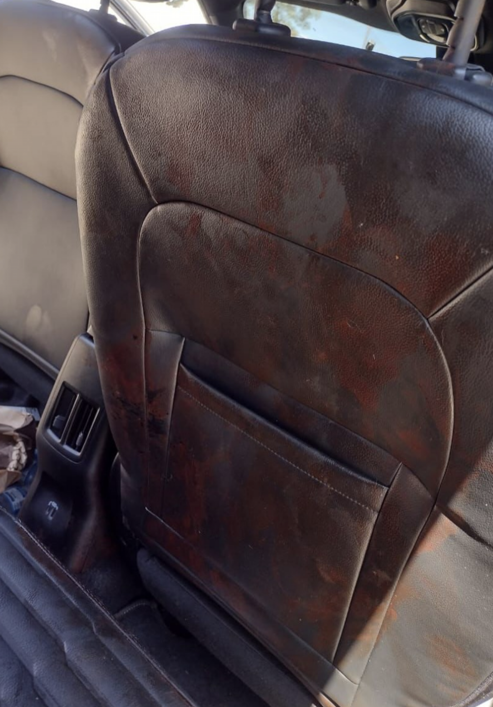 Vittor Fernando fala sobre ataque a tiros e recuperação  - reprodução Instagram