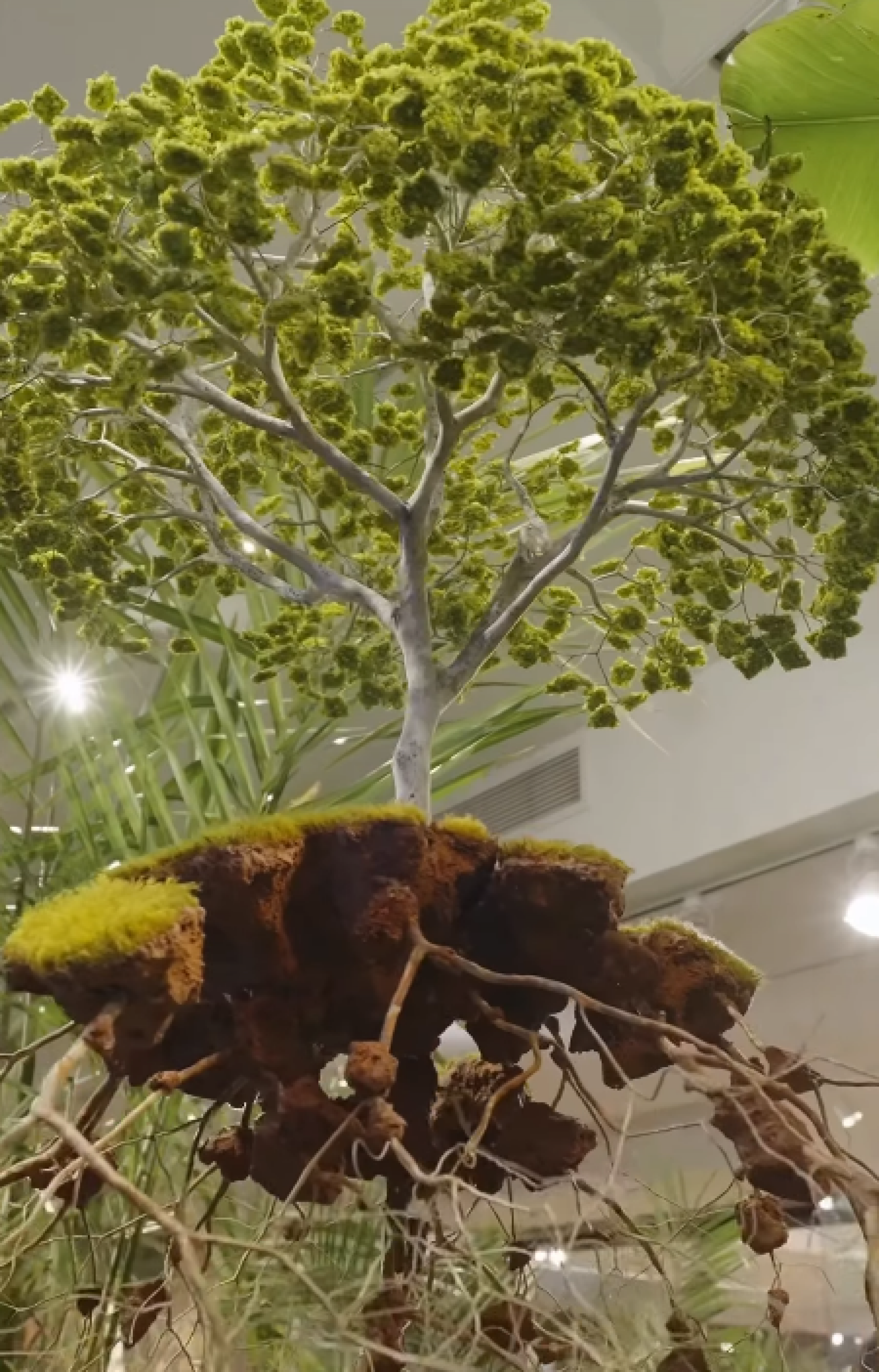 Inaugura&ccedil;&atilde;o recebeu cerca de 2 mil pessoas