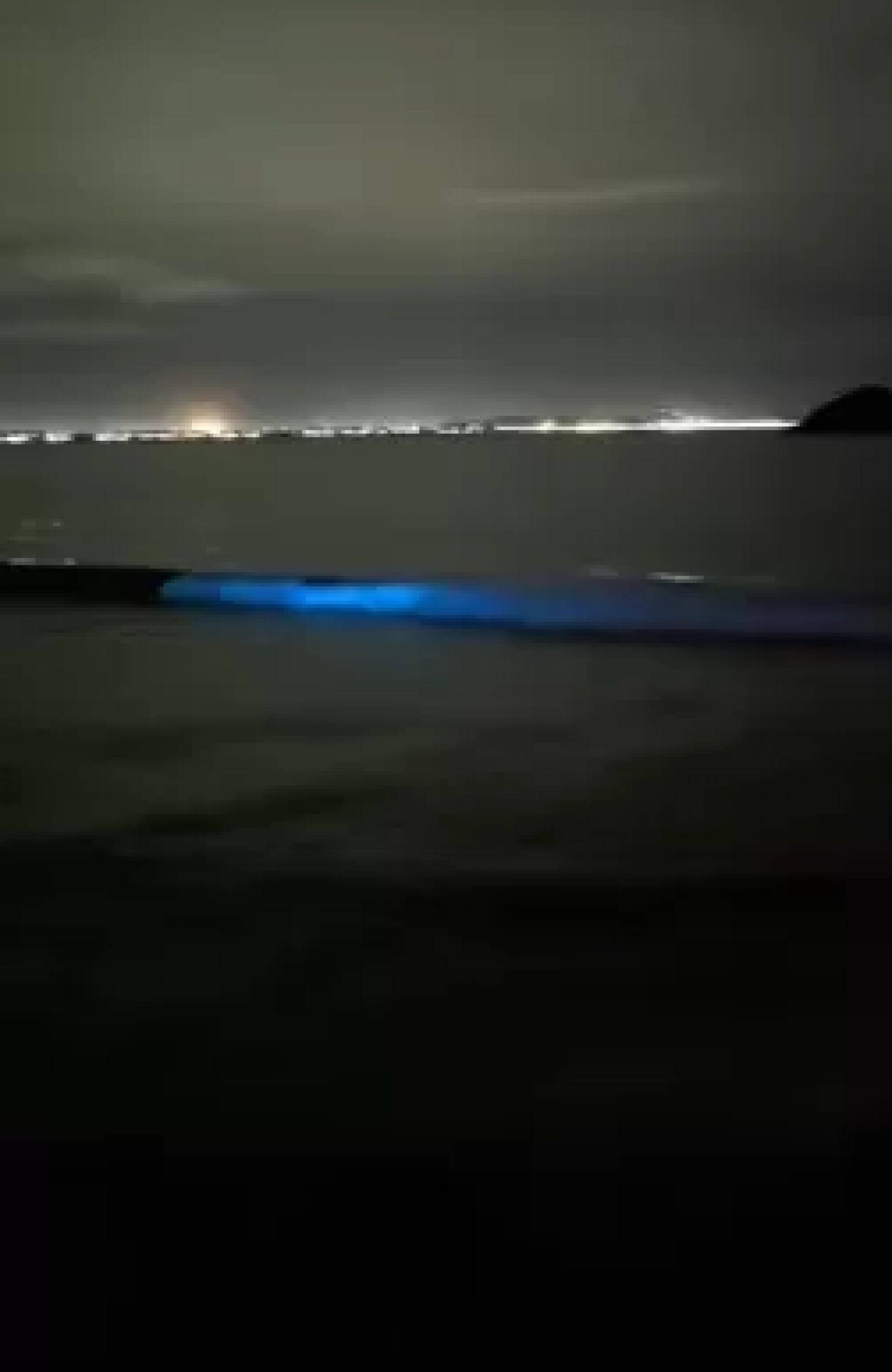 Fenômeno da bioluminescência