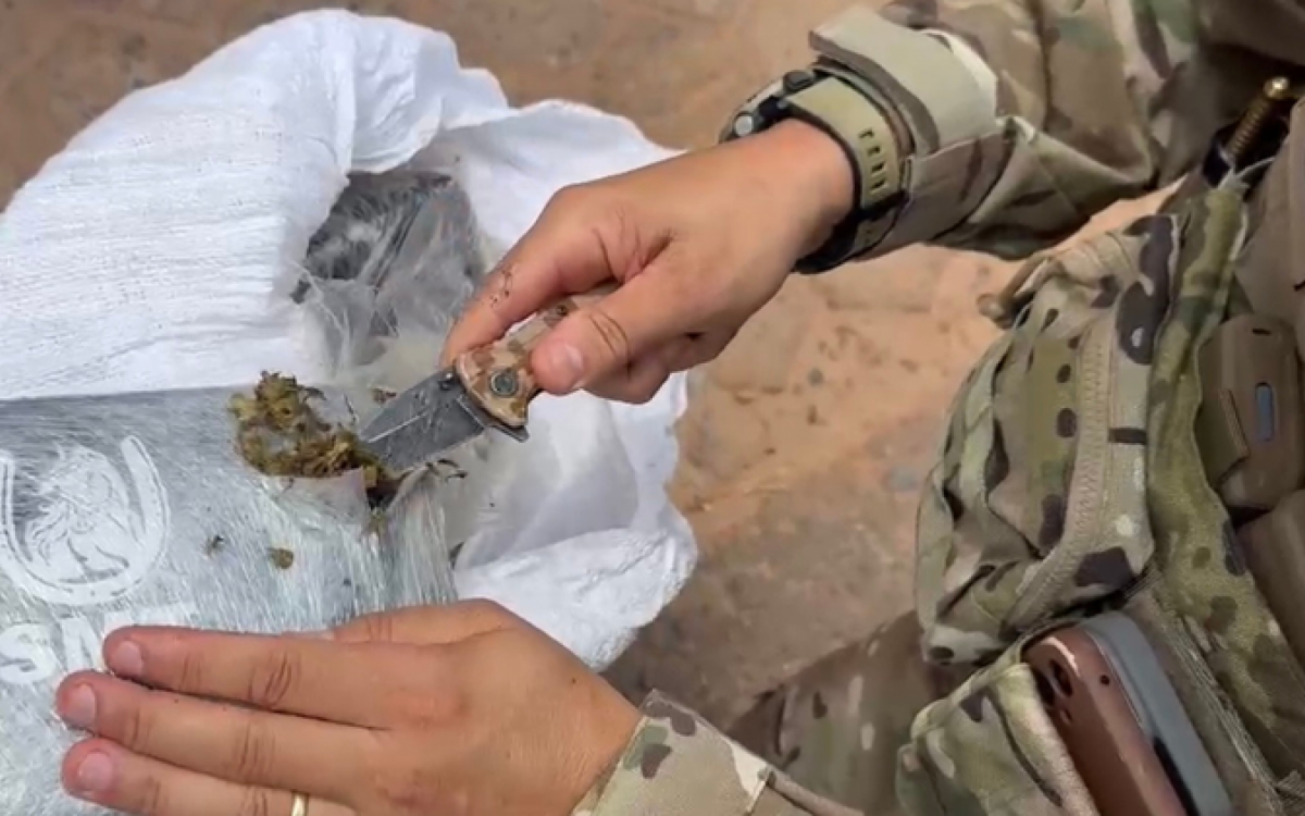 Droga foi localizada dentro do compartimento de carga de um caminhão - Divulgação/ PRF