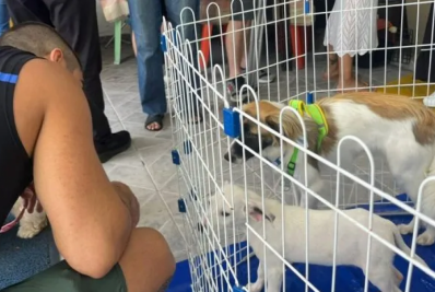 Cabo Frio realiza Feira de Adoção Animal neste sábado (22)