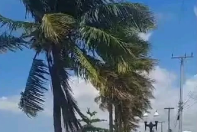 Idoso e cão morrem atropelados na RJ-106, em Araruama; veículo cai na lagoa após colisão