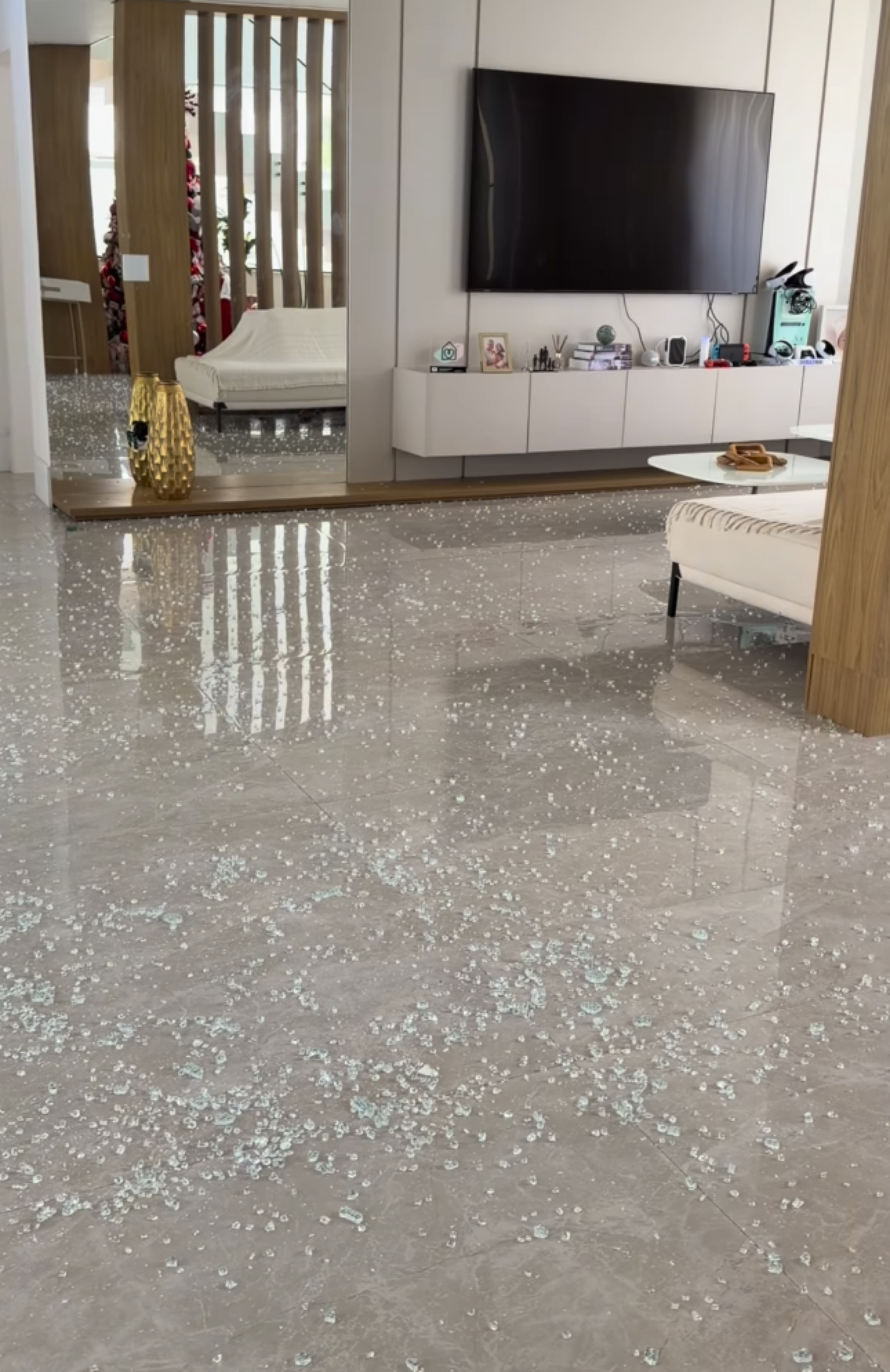 Evelyn Regly assusta fãs ao mostrar vidro despencando e se estilhaçando em sua mansão - reprodução Instagram