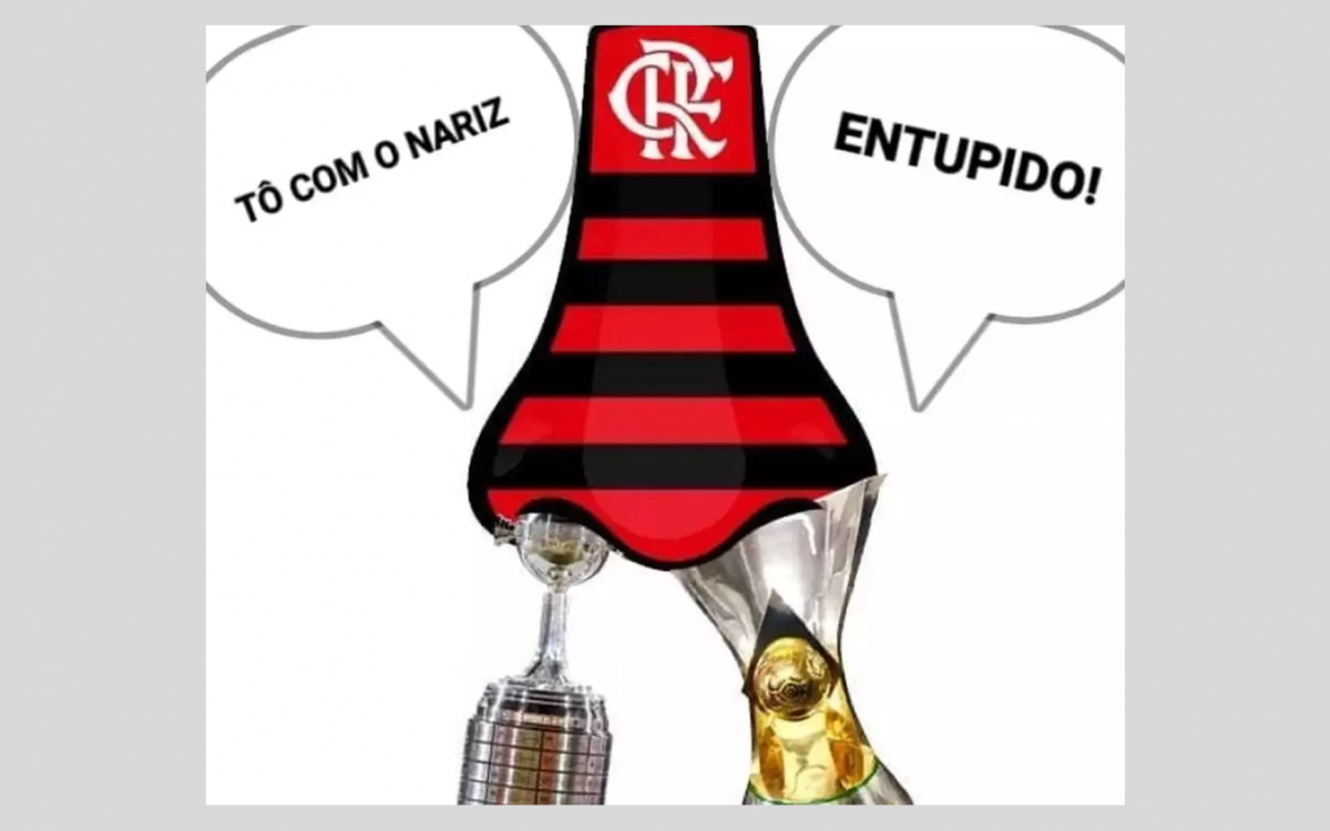 Memes do título do Brasileirão do Flamengo também pegaram no pé do Palmeiras por mais um vice na temporada