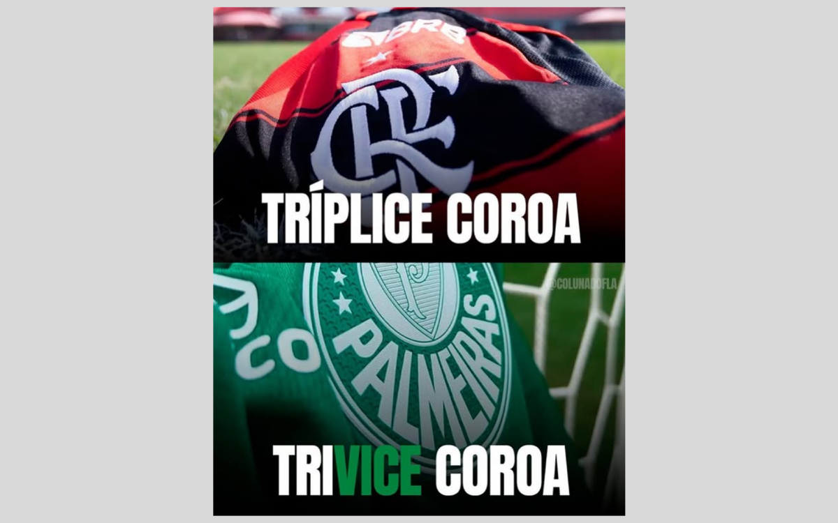 Memes do título do Brasileirão do Flamengo também pegaram no pé do Palmeiras por mais um vice na temporada
