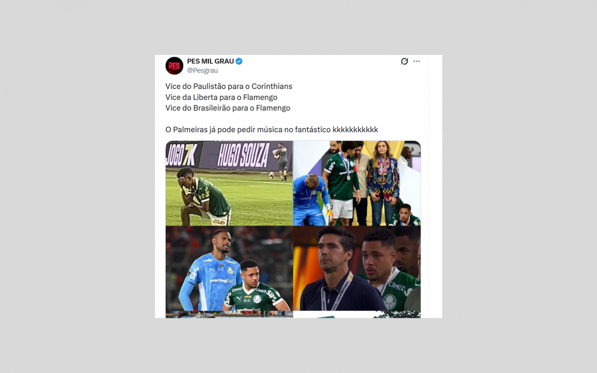 Memes do título do Brasileirão do Flamengo também pegaram no pé do Palmeiras por mais um vice na temporada