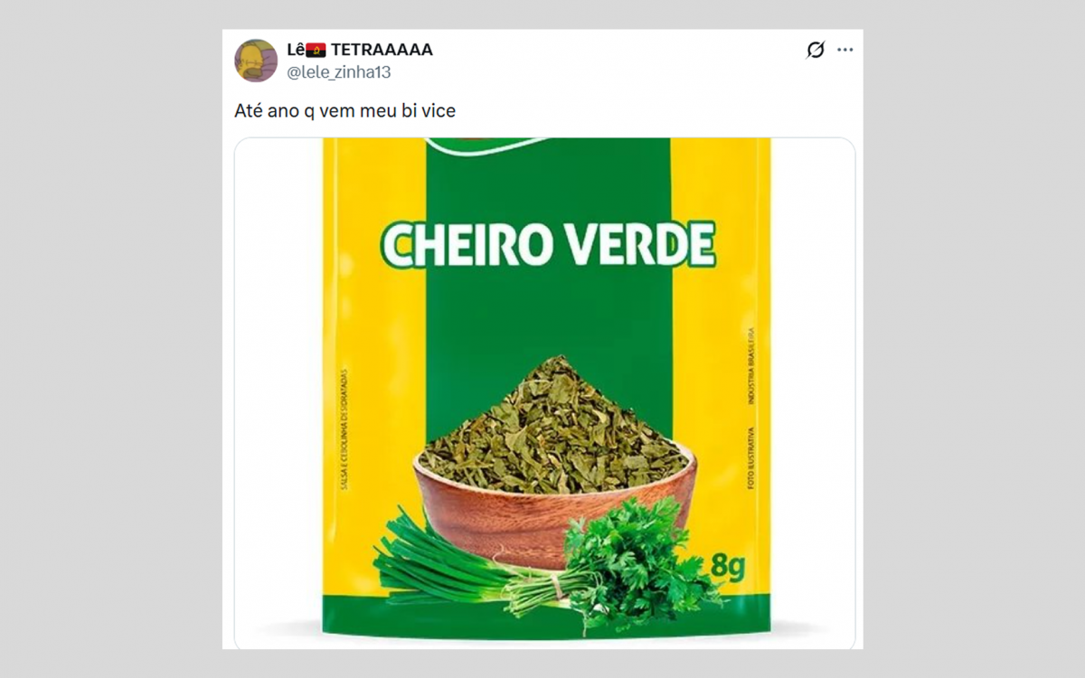 Memes do título do Brasileirão do Flamengo também pegaram no pé do Palmeiras por mais um vice na temporada