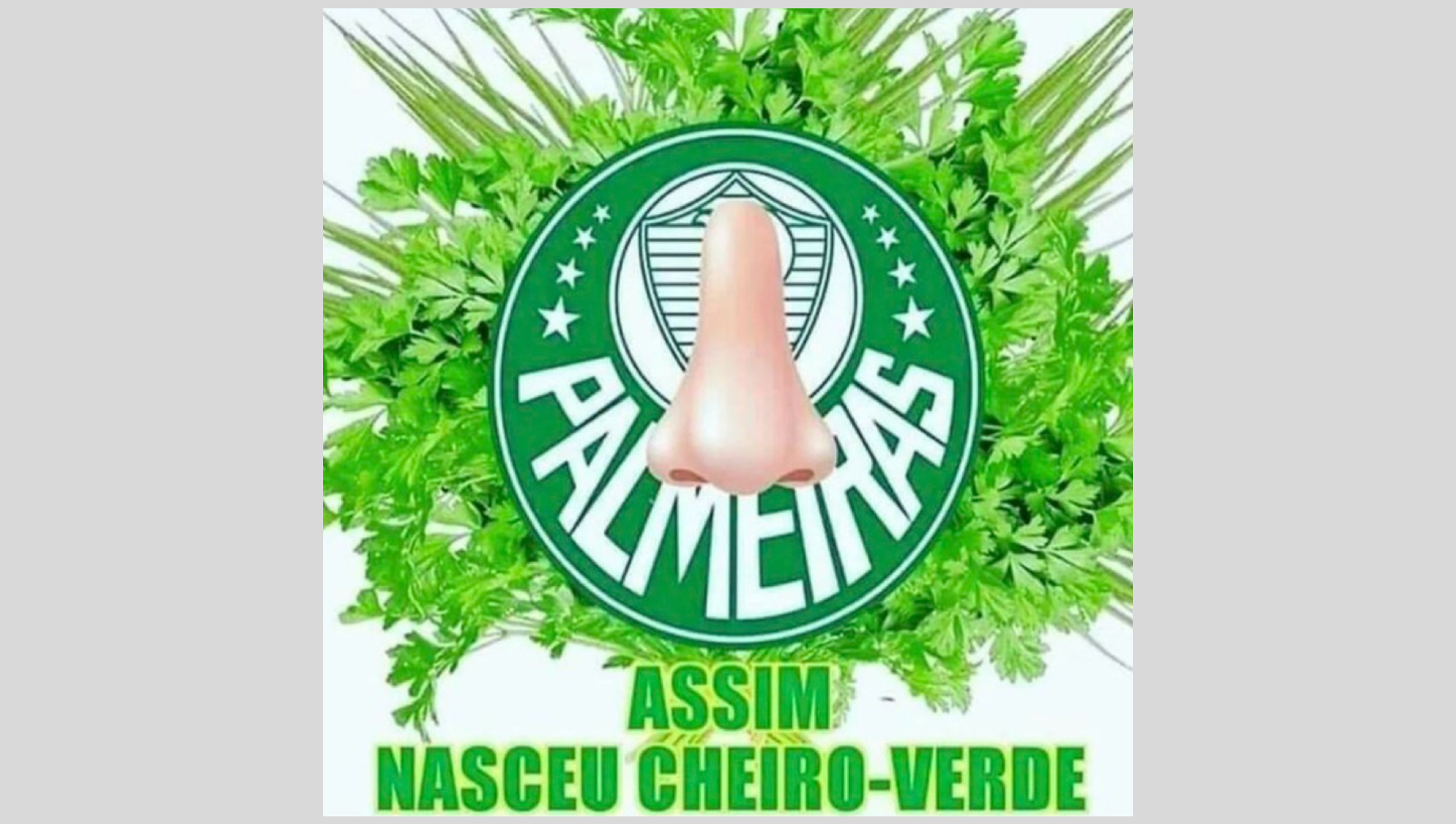 Memes do título do Brasileirão do Flamengo também pegaram no pé do Palmeiras por mais um vice na temporada - Reprodução de redes sociais