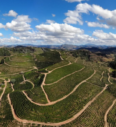 Café de Bom Jardim disputa prêmio de melhor do Estado