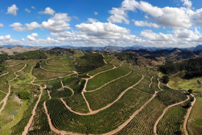 Café de Bom Jardim disputa prêmio de melhor do Estado