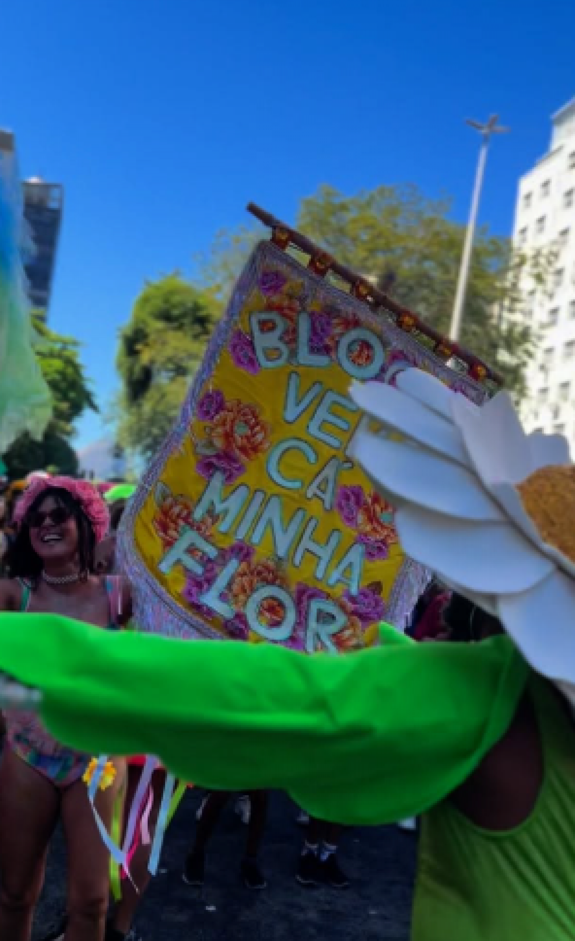 Bloco Vem Cá Minha Flor se apresenta na Enseada de Botafogo neste fim de semana - Reprodução de vídeo / Instagram