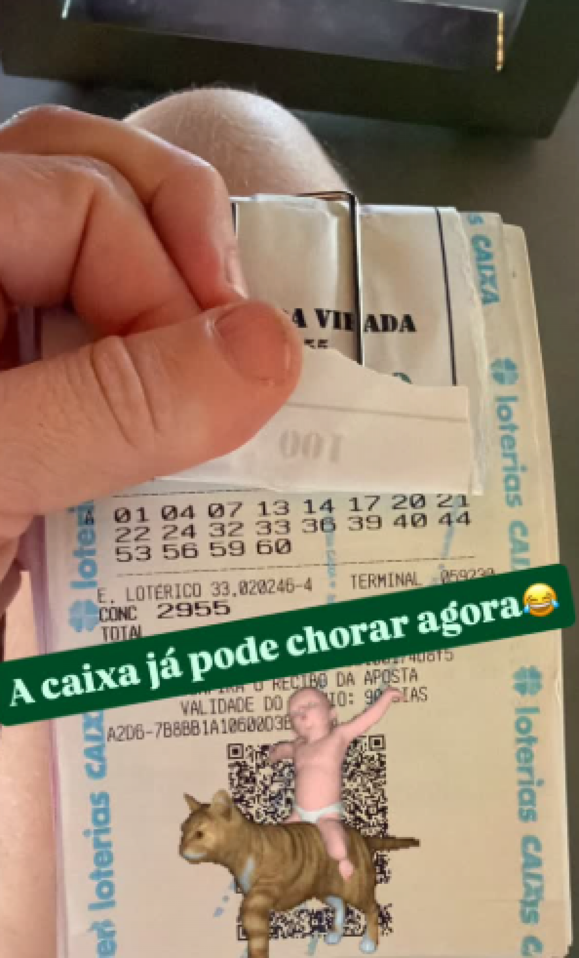 Ex-BBB Paulinha Leite acerta na quita da Mega da Virada e celebra - Reprodução de vídeo / Instagram