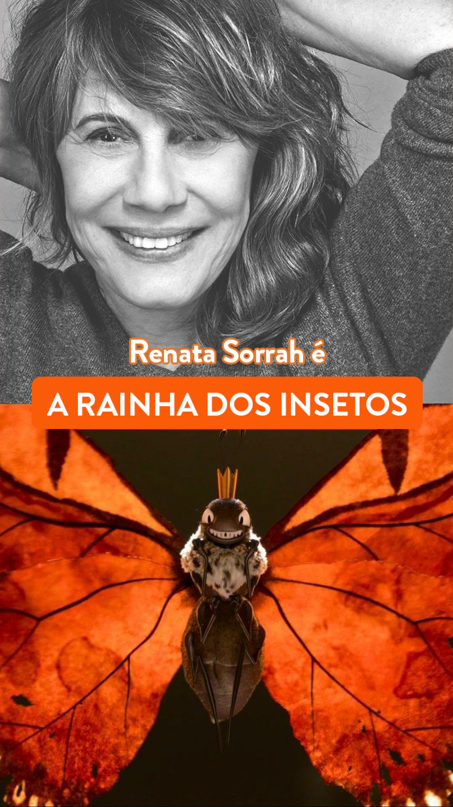 Renata Sorrah é anunciada como dubladora de filme da Pixar - Divulgação