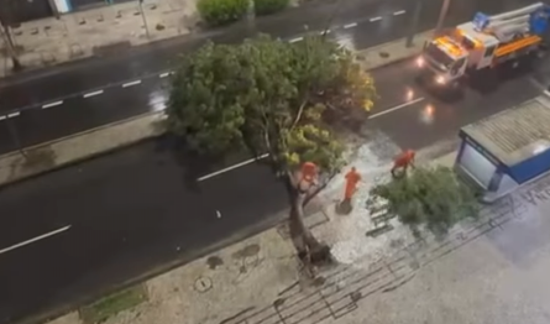 Equipes da Comlurb atuaram no Boulevard 28 de Setembro, em Vila Isabel - Reprodu&ccedil;&atilde;o / Redes Sociais