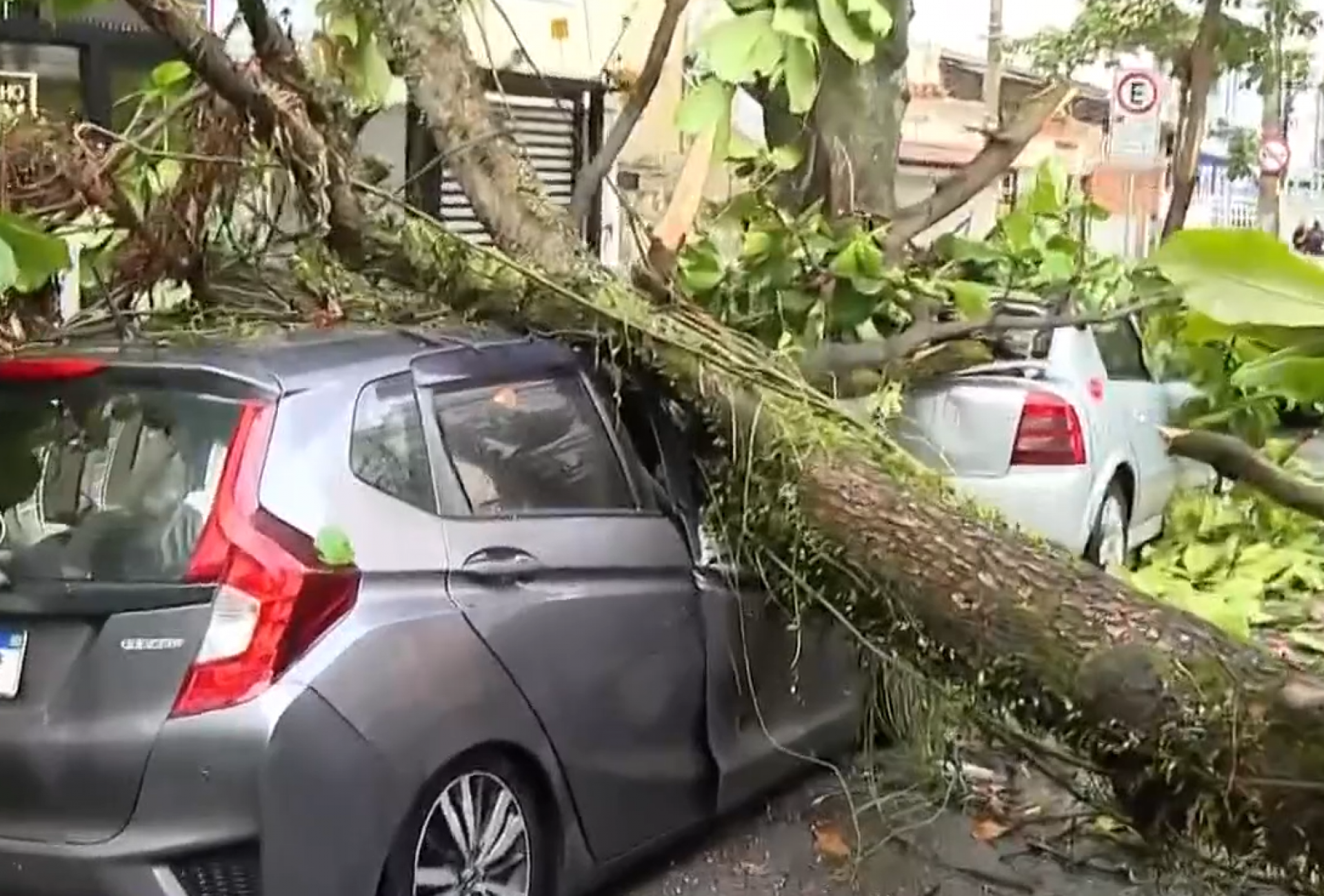 &Aacute;rvore caiu e destruiu tr&ecirc;s carros na Rua Carvalho Alvim, na Tijuca