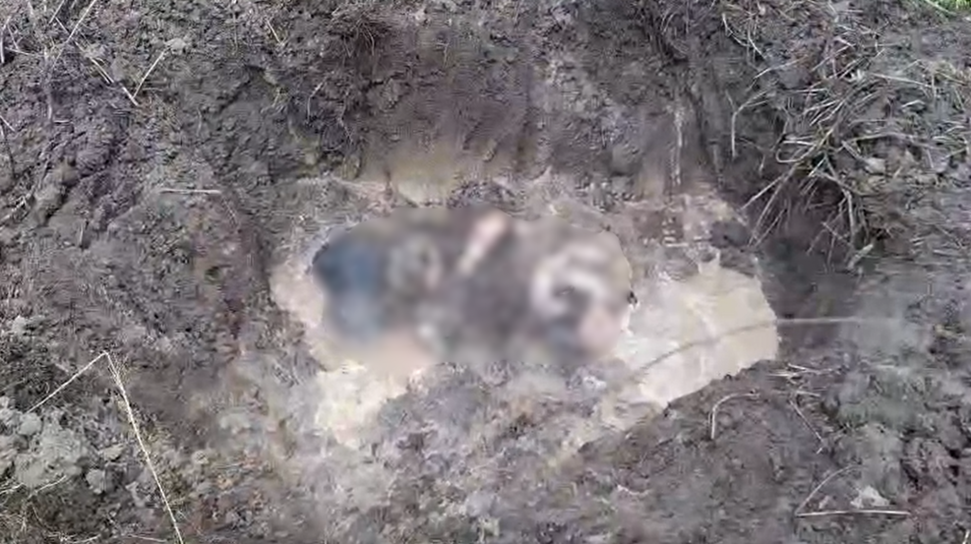 Dois corpos foram localizados e encaminhados ao IML - Reprodução