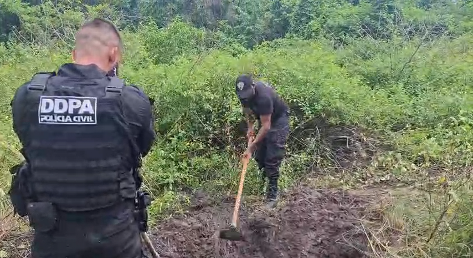 Dois corpos foram localizados e encaminhados ao IML - Reprodução 