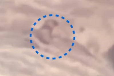 Vídeo! Bombeiros resgatam cachorro cego e surdo em cascata