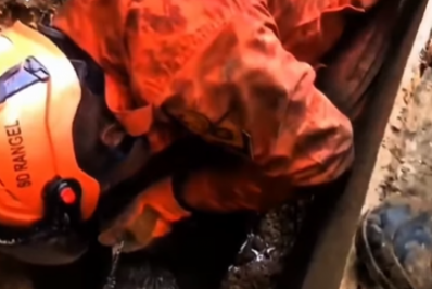 Vídeo: cão é resgatado por bombeiros após ficar preso sob escombros em Niterói