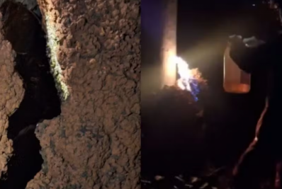 Ataque de abelhas deixa homem morto e três mulheres feridas