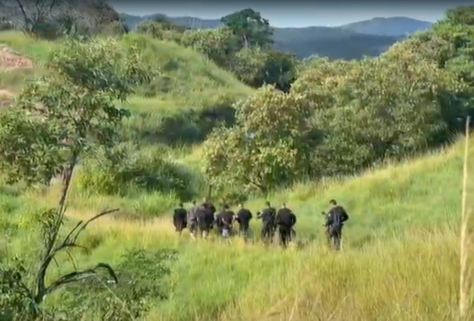 PMs prenderam seis homens e apreenderam quatro fuzis durante operação - Reprodução