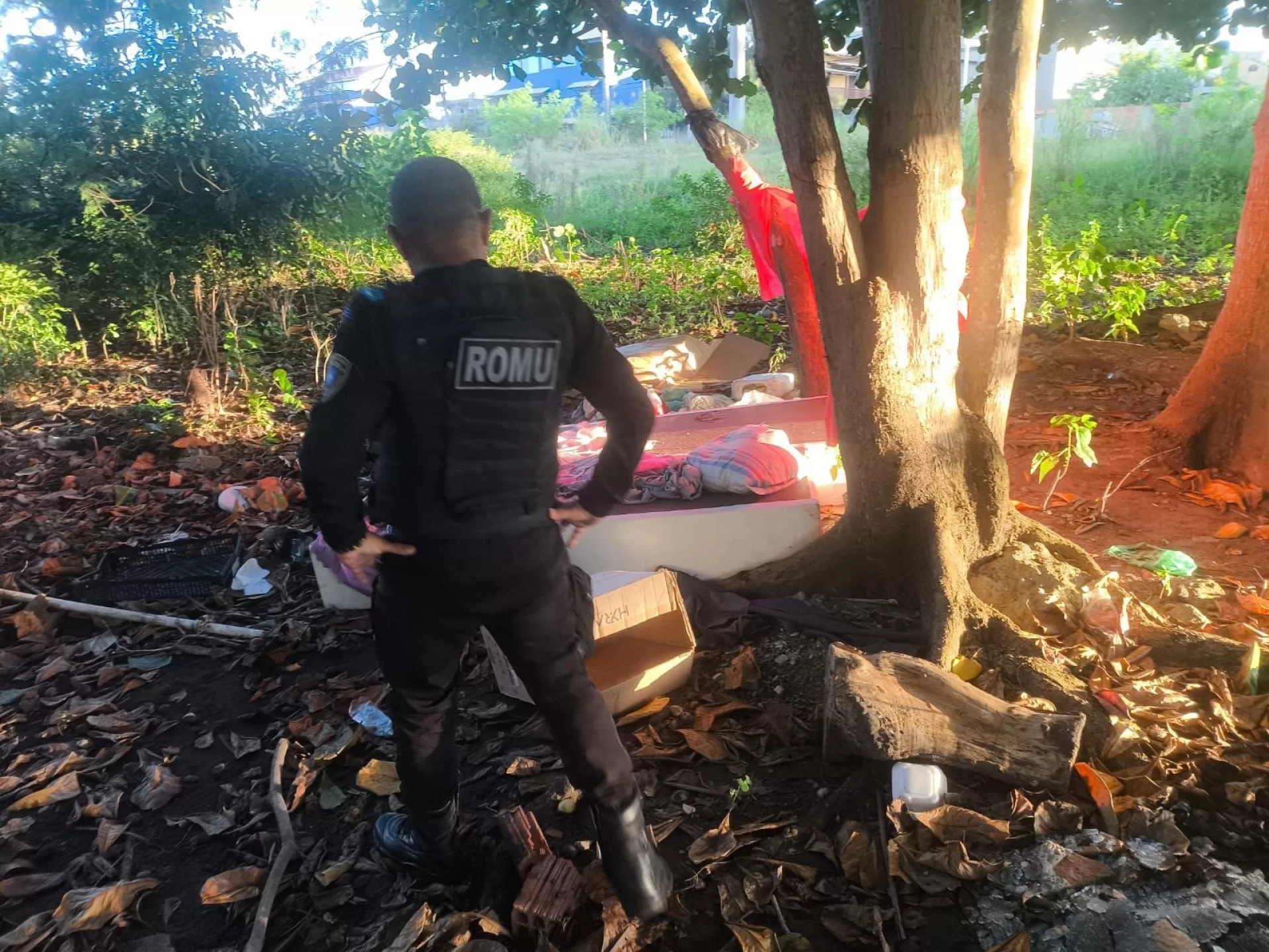 Área passou por limpeza após retirada do acampamento - Reprodução/