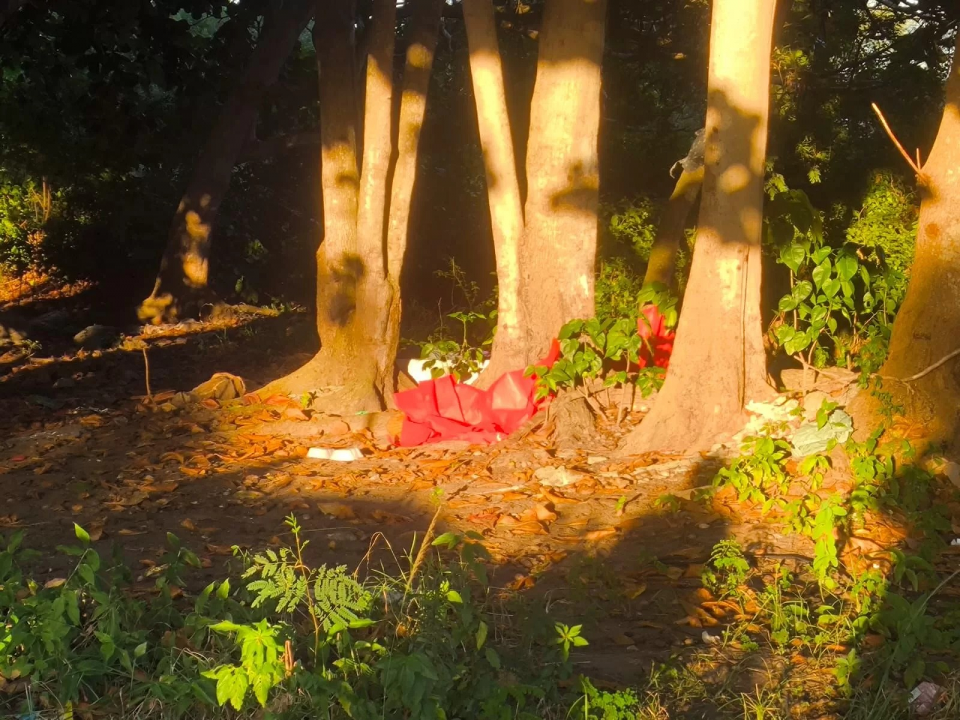 Ocupação irregular foi alvo de ação de ordenamento público - Reprodução/