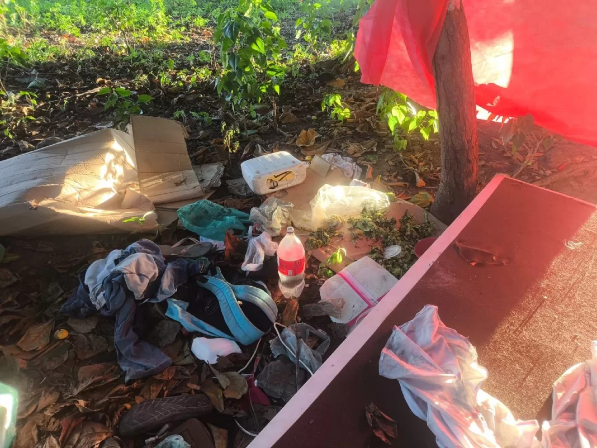 Equipes recolheram materiais usados no acampamento improvisado - Reprodução/