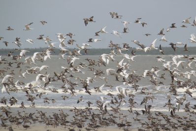 Viagens sem Fronteiras