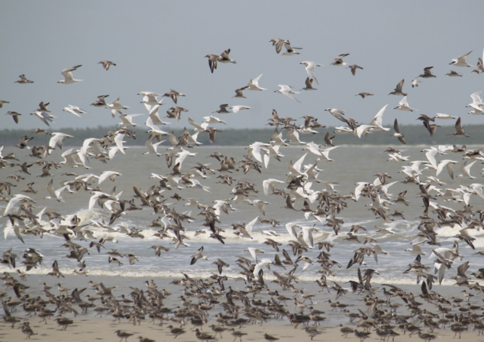 Viagens sem Fronteiras