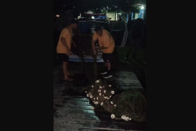 Operação na Lagoa de Araruama apreende redes e 40 kg de camarão