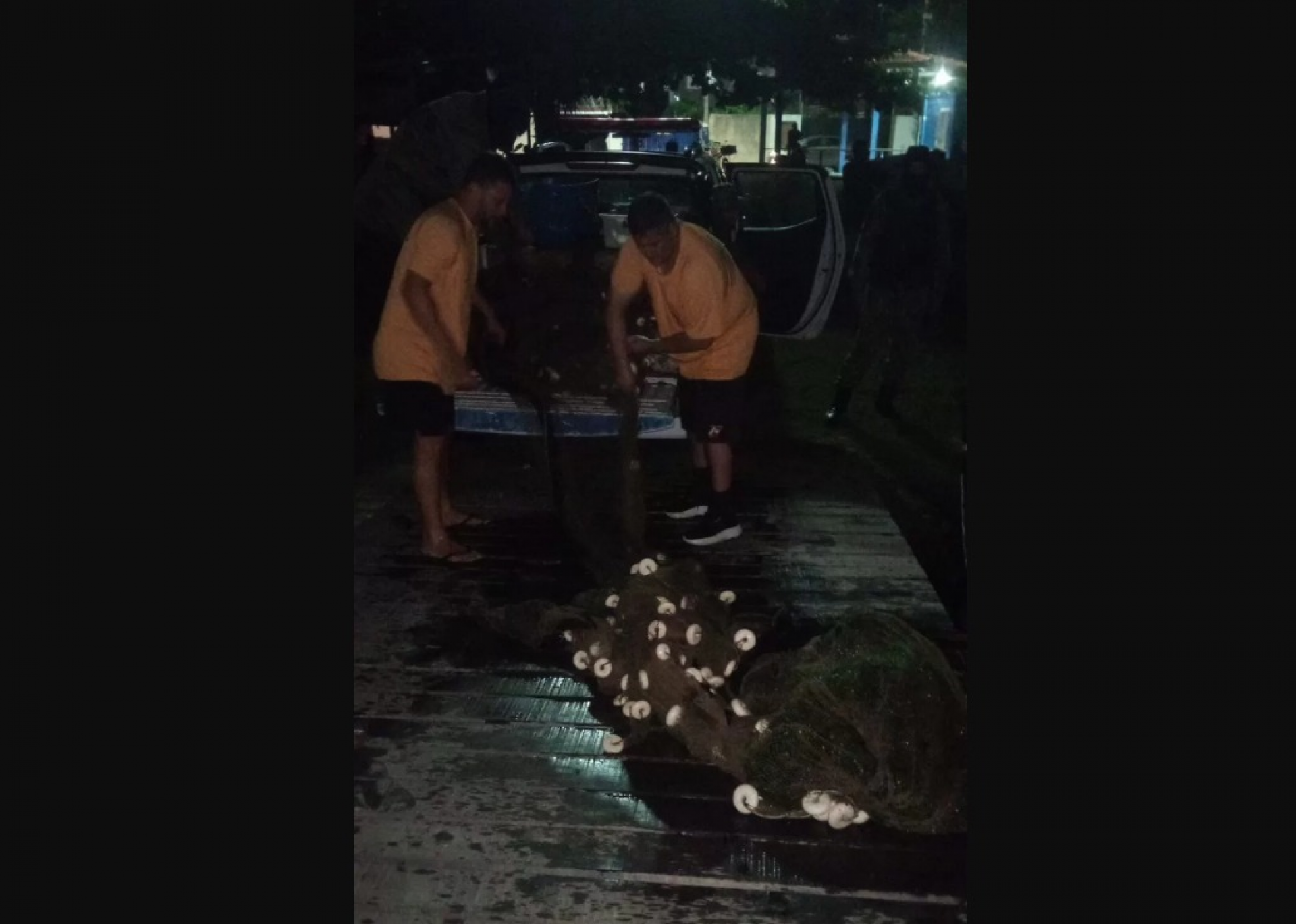 Duas redes de espera com cerca de 40 a 50 metros cada e malha de 10 milímetros, além de duas redes de arrasto. - Reprodução/