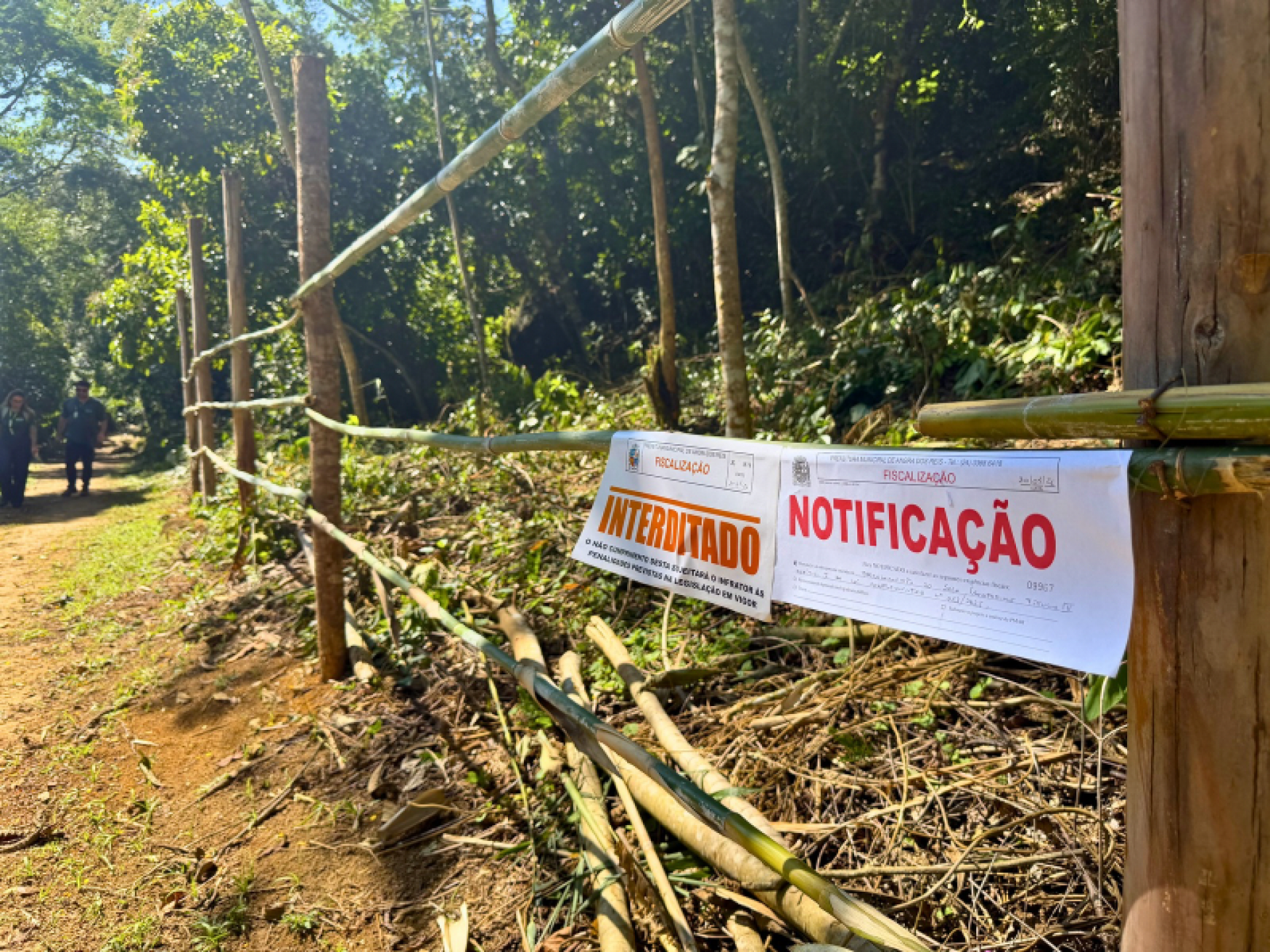 Imaar faz ação de ordenamento na Ilha Grande