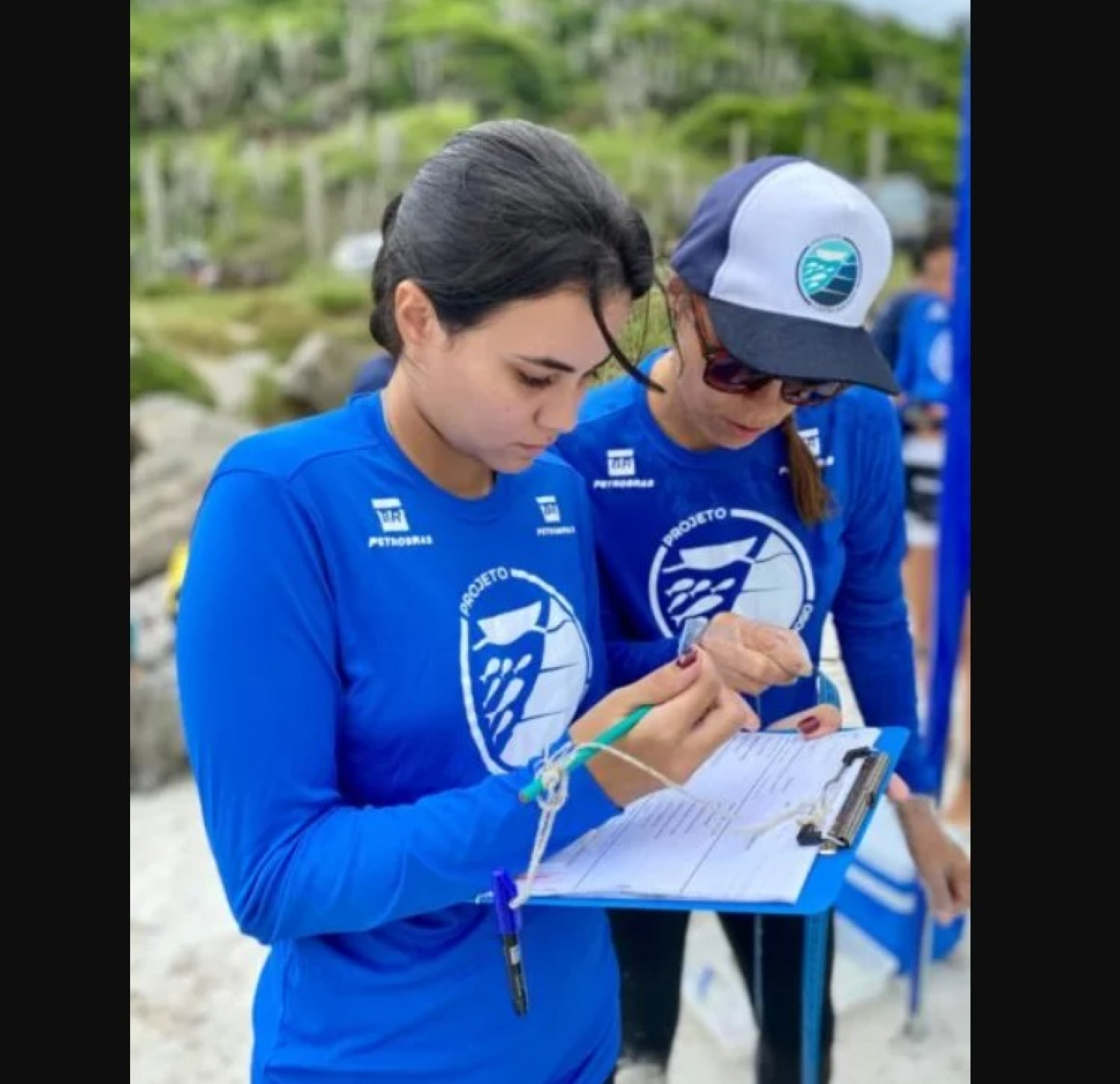 Pesquisa busca identificar origem das tartarugas na regi&atilde;o. - Reprodu&ccedil;&atilde;o/
