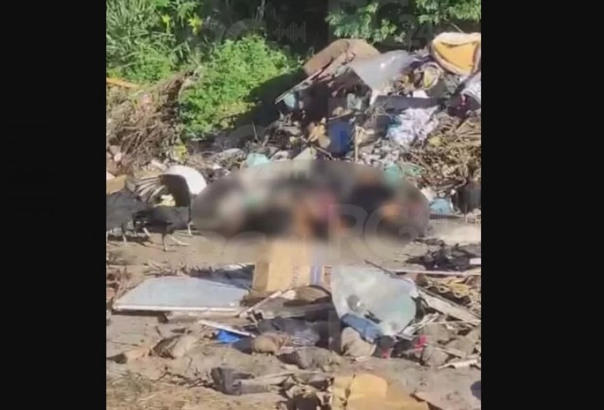 Corpo em decomposição é encontrado em lixão no Tangará, em Cabo Frio