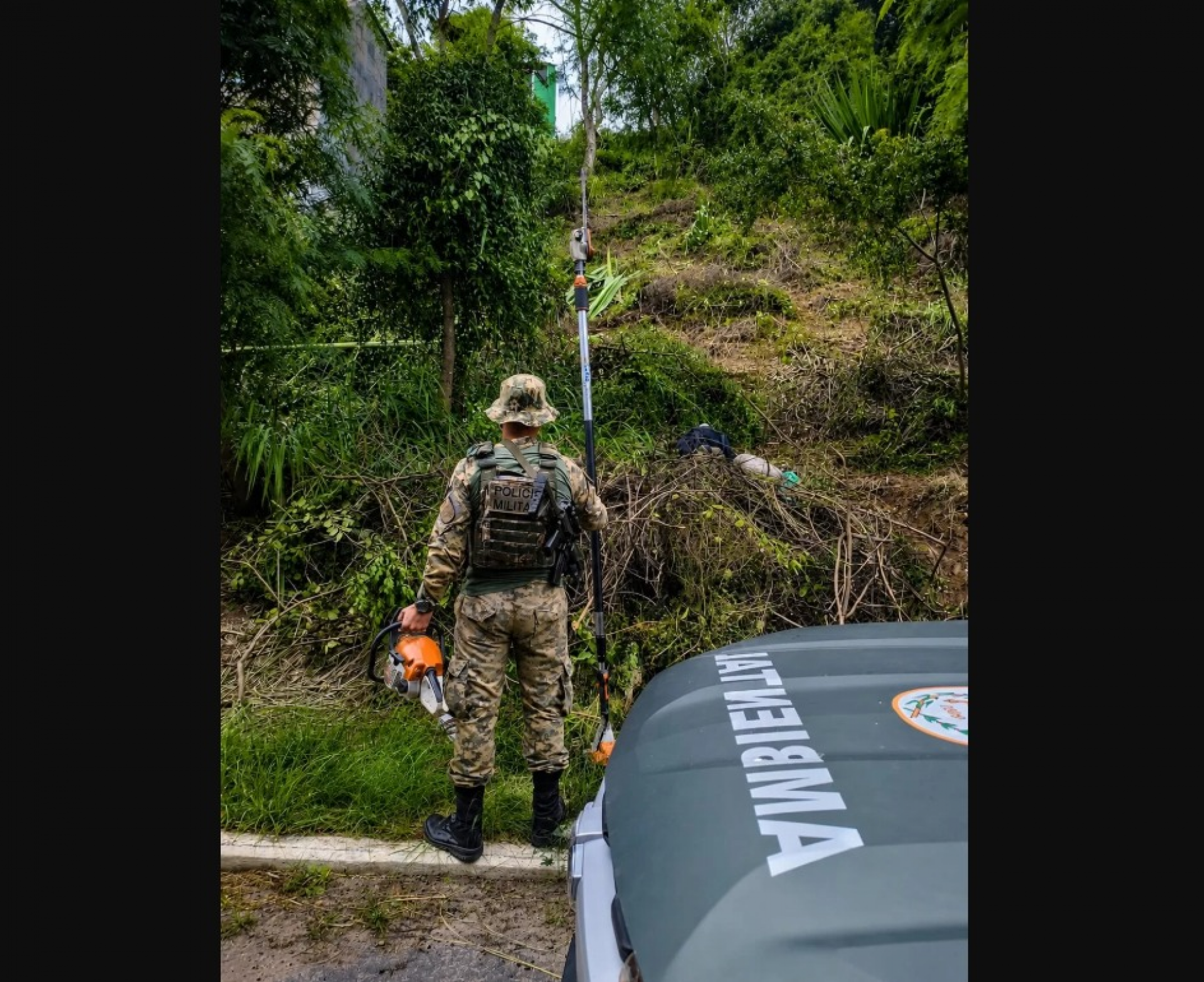 Área de preservação ambiental é alvo de degradação no Peró, em Cabo Frio
