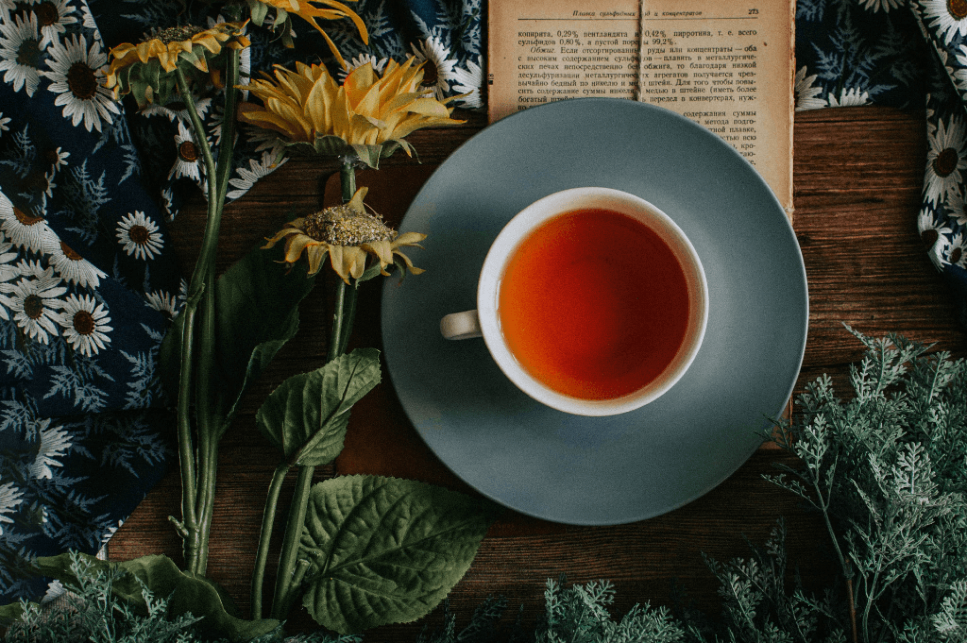 Ch&aacute;s para dias frios: 10 receitas para aquecer e cuidar da sa&uacute;de