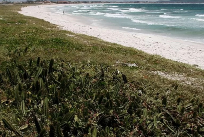 Justiça determina demolição de imóvel construído irregularmente em Cabo Frio