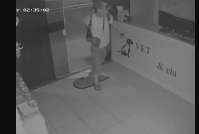 Tentativa de furto em clínica veterinária é registrada por câmeras de segurança